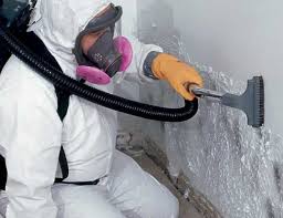 Westfield, MA Mold Remediation Company